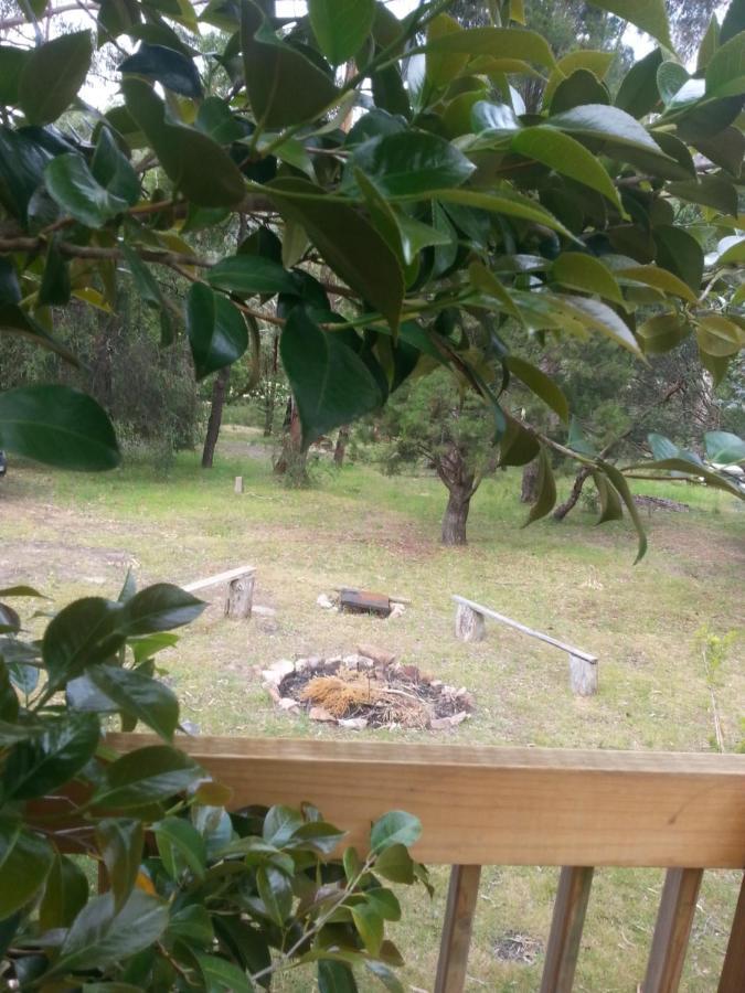 Grampians Nest Villa Halls Gap Eksteriør bilde